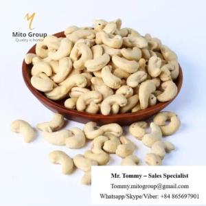 Wholesale cashew nuts: Free Samples Cashew Nuts WW240 BRC ISO HACCP Certificate FREE TAX