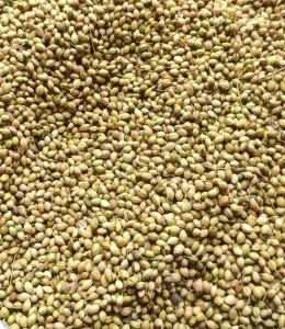 Wholesale pp bags: Coriender Seed