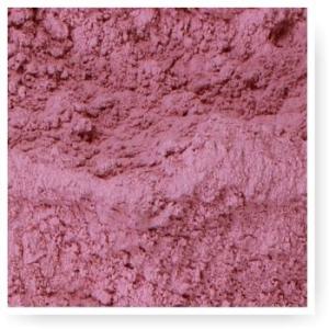 Wholesale red: Dehydrated Red Onion Powder