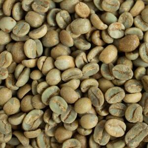 Wholesale coffee cup: HG Colombian Green Bean Coffee (Cup: 83)