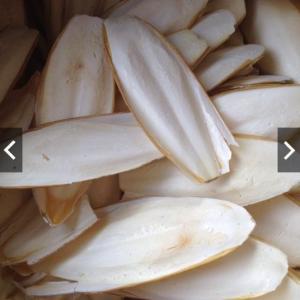 Wholesale Other Fish & Seafood: High Quality Manufacturer Cuttlebone Material Dried Cuttlefish Bone or Dried Cuttlebone