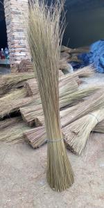 Wholesale palm ekel broomstick: Palm Ekel Broom Sticks