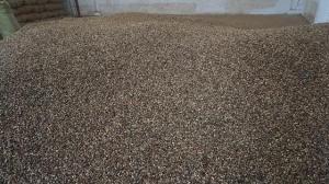 Wholesale indonesia: Grade 4/5/6 Robusta Coffee Bean From Lampung, Indonesia