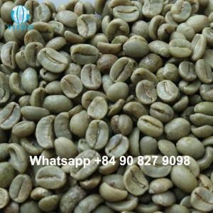 Wholesale arabica: Arabica S16,18, Clean, Grade 1 - Viego Global - Whatsapp  +84 90 827 9098