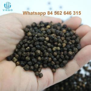 Wholesale piper: Vietnam Black Pepper - Viego Global - Whatsapp +84 562 646 315