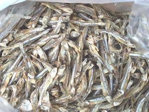 Wholesale dried anchovy fish: Dried Anchovies (Ikan Bilis)