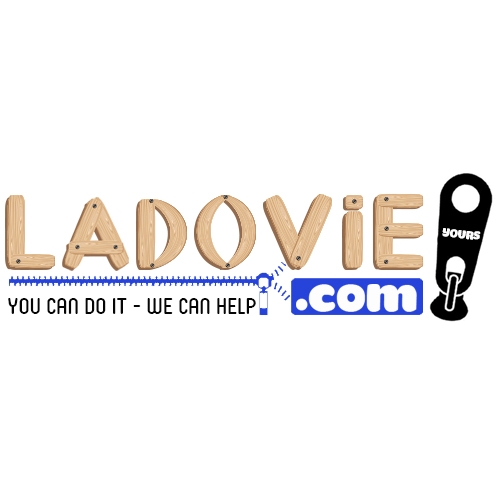 Ladovie Busniess Company Logo
