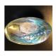 Sell Abalone shell - Vietnam natural seashell art