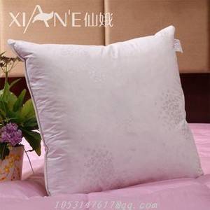 Wholesale Feather & Down: Pillow