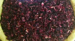 Wholesale anise leaves: Hibiscus Flower
