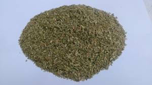 Wholesale suppliers with strong and: Oregano