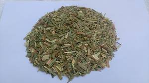 Wholesale cutting system: Lemon Grass