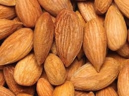 Sell CALIFORNIA blanched almond/Almond Kernels/Apricot Kernel Almond 