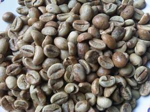 Wholesale coffe packager: Robusta Java Coffee Greenbean Wholesale coffe packager: Robusta Java Coffee Greenbean
