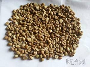 Wholesale Coffee Beans: Robusta Java Pasuruan Coffe Beans