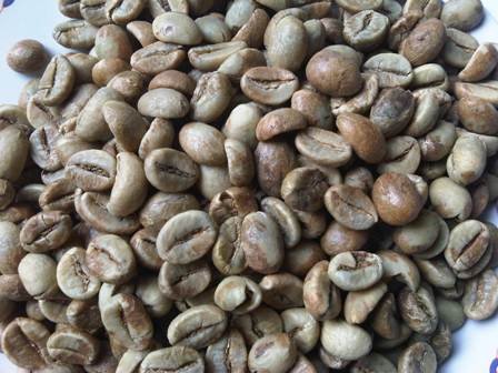 Robusta Java Coffee Greenbean