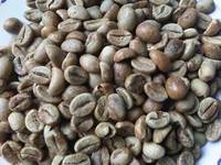 Robusta Java Coffee Greenbean