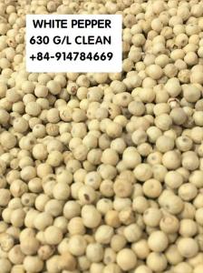 Wholesale fruit container: White Pepper 630 G/L Clean