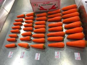 Wholesale l: Viet Nam Fresh Carrot