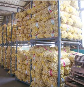 Wholesale mesh bags: Cheap Price Factory Direct Mesh Bag HDPE Leno Mono Garlic /Turmeric Packing Mesh Sacks