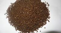 Hot Sale Fertilizer Granular DAP (18-46)