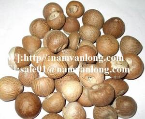 Wholesale spice: Dried Betel Nuts