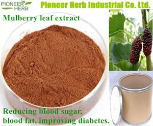 Wholesale mulberry: Mulberry Leaf Extract