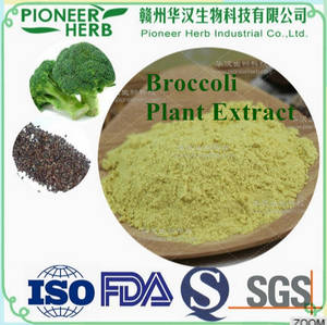 Wholesale broccoli: Sulforaphane/ Broccoli Seed Extract