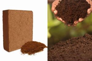 Wholesale cocopeat block: Cocco Pith