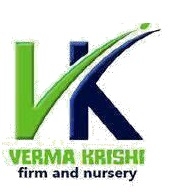 Verma Krishi Firm & Nursery
