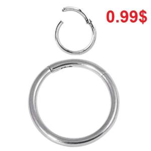 Wholesale 316L: Hinged Segment Rings From 0.99USD /PCS
