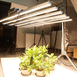 Wholesale medical light: 800w Waterproof Dimmable Samsung Hydroponic LED Plant Grow Light Strip Bar for Flower Medical Plants