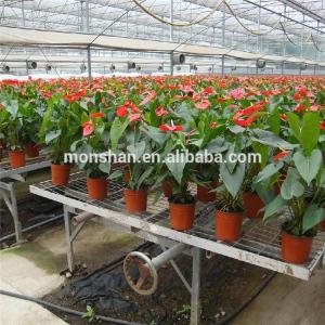 Wholesale plastic plant pot: 2/3 Level Indoor Vertical Farming Vegetables Growing Tables Top System Complete Kit