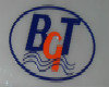 China BGT Co., Ltd. Company Logo