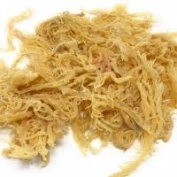 Wholesale food storage container: Dried Sea Moss