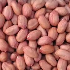 Wholesale raw peanut: Red Skin Peanut