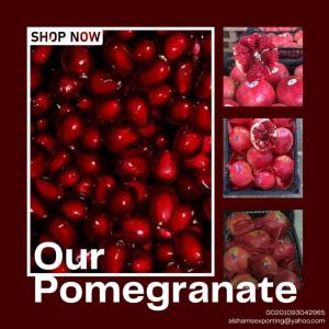 Wholesale carton: Fresh Pomegranate