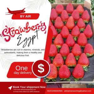 Wholesale strawberry: Fresh Strawberry