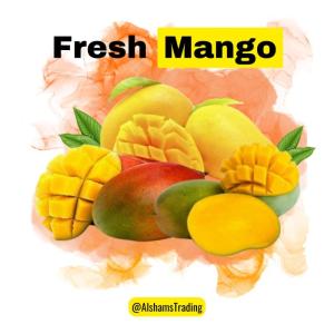Wholesale Mango: Fresh Mango