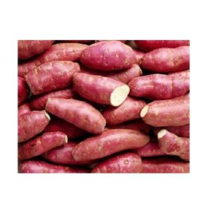 Wholesale Fresh Sweet Potatoes: New Crop Fresh Sweet Potato On Big Sale! Hot Sale for Sweet Potato From Vietnam! Sweet Potato with I
