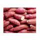 New Crop Fresh Sweet Potato On Big Sale! Hot Sale for Sweet Potato From Vietnam! Sweet Potato with I