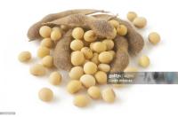 Sell Soybean Seed