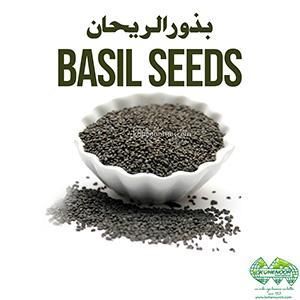Wholesale nutrient: Basil Seed: Nutrient-Rich Export Quality Seeds
