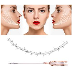 Wholesale cannula threads: Multi PCL Lifting Thread with Cannula Treatment for Nose Face with L Needle 19G Top Quality Cog 6D