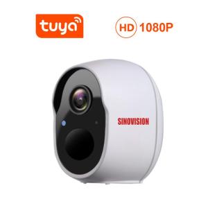 Wholesale wireless mini camera: OEM ODM Original Factory Low Power Battery Wireless Cameras HD 1080p WIFI Smart Camera S1