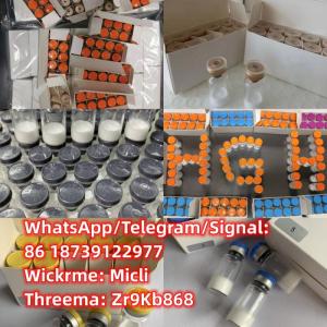 Wholesale peptide hgh: Peptides Semaglutide Tirzepatide MT2 Retatrutide Hgh Hcg Hmg Big Discount