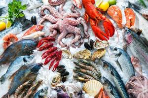 Wholesale seafood: Frozen Seafood