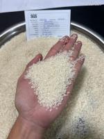 Vietnam High Quality Rice - ST Rice - Japonica Rice - KDM Rice - Hom Mali Rice - Jasmine Rice