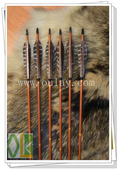 carbon arrow shafts