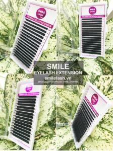 Wholesale silk: Eyelash Extension / OEM, Private Label, Individual Lashes / Vietnam, Korea Lashes / Mink, Silk Lash.